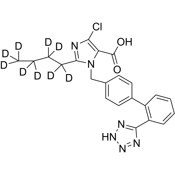 EXP3174-d9
